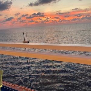 Meet your Posher, Dakota